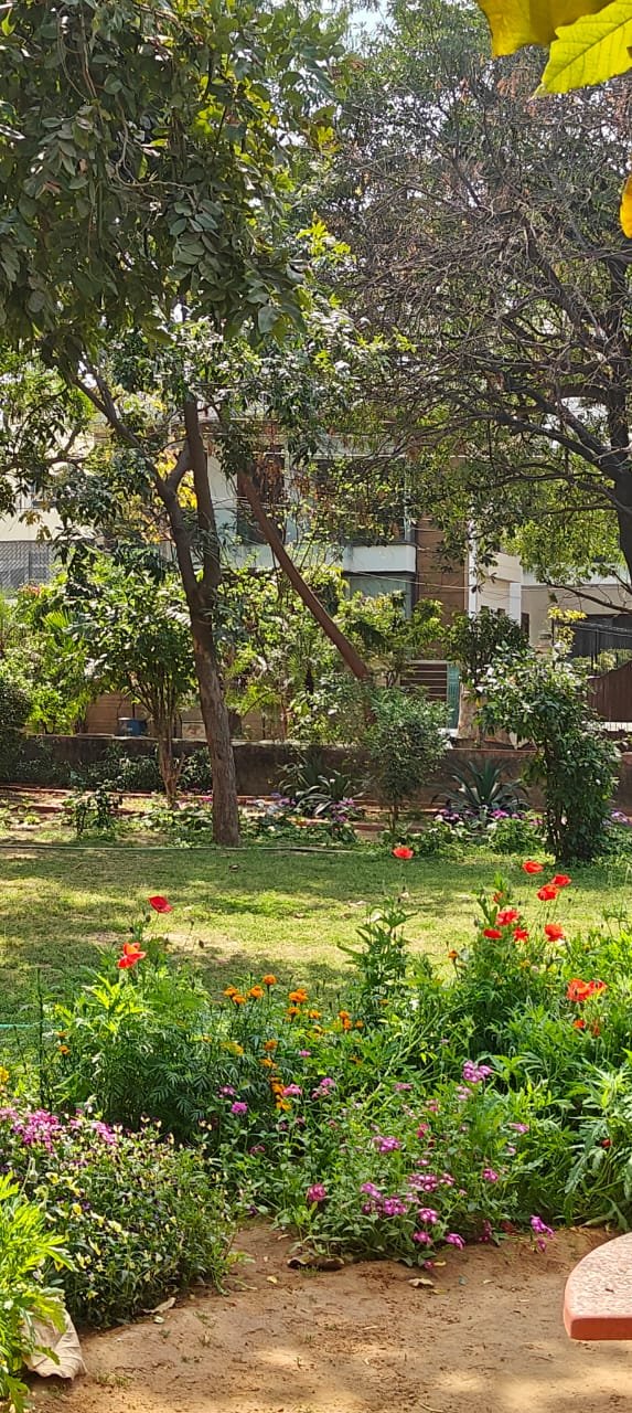 5BHK Kothi DLF Phase 1 , SemiFurnished is available for rent